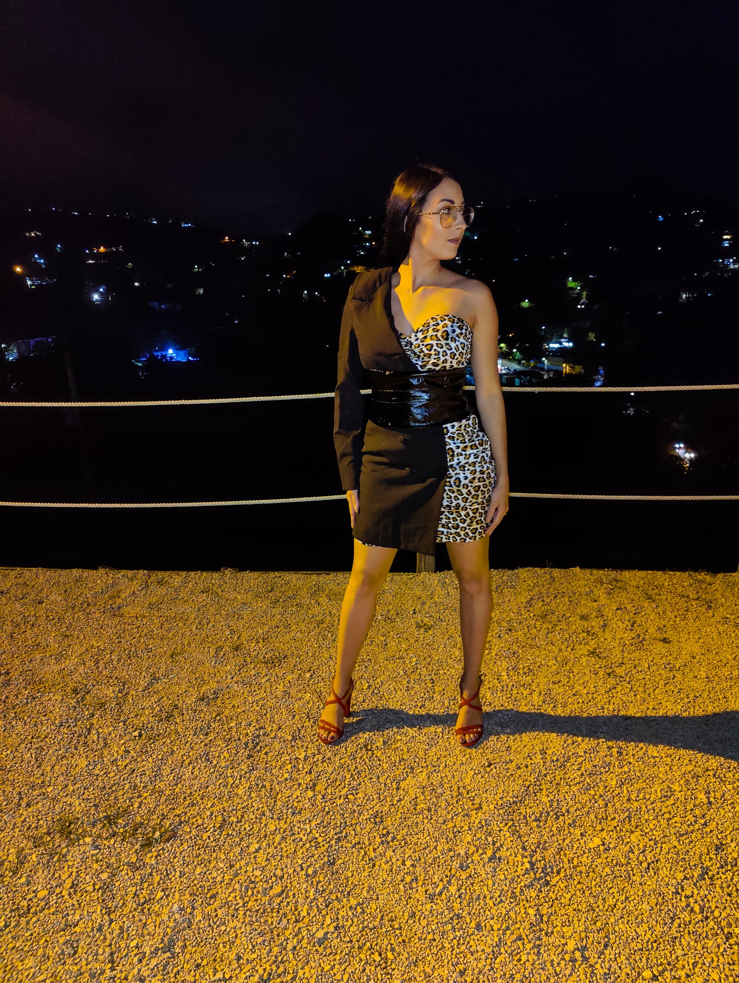 Chic animal print dress